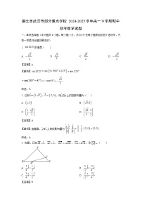 湖北省武汉市部分重点学校2024-2025学年高一下学期期中联考数学试题（解析版）