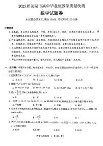 安徽省2025届芜湖市高中毕业班教学质量统测数学试卷（附参考答案）