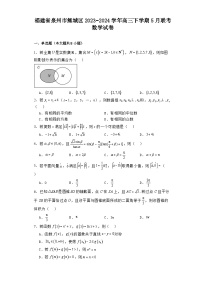 福建省泉州市鲤城区2023−2024学年高三下学期5月联考 数学试卷（含解析）