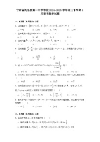 甘肃省民乐县第一中学等校2024−2025学年高三下学期4月联考 数学试题（含解析）