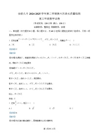 安徽省合肥市第九中学2024-2025学年高三下学期第六次单元质量检测数学试卷 含解析