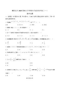 湖北省襄阳市第五中学2025届高三下学期5月适应性考试（一）数学试卷（Word版附解析）