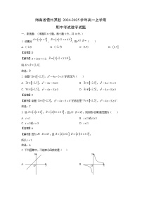 海南省儋州某校2024-2025学年高一上学期期中考试数学试题（解析版）