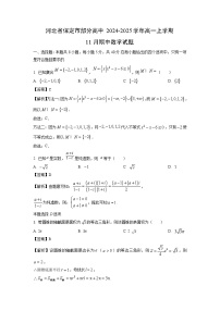 河北省保定市部分高中2024-2025学年高一上学期11月期中数学试题（解析版）