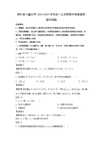 贵州省六盘水市2024-2025学年高一上学期期中质量监测数学试题（解析版）