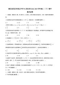 湖北省武汉市重点中学5G联合体2024-2025学年高二（下）期中数学试卷（含解析）