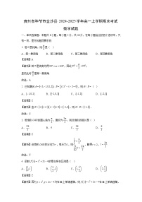 贵州省毕节市金沙县2024-2025学年高一上学期期末考试数学试题（解析版）