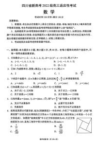 四川省蓉城名校联盟2025届高三高考模拟适应性考试-数学试题+答案