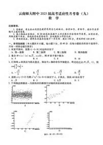 数学丨云南省师大附中2025届高考适应性月考卷（九）试卷及答案