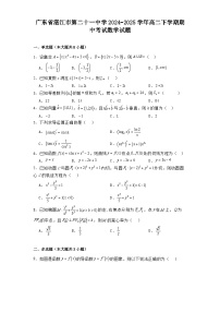 广东省湛江市第二十一中学2024−2025学年高二下学期期中考试 数学试题（含解析）