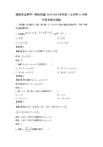 福建省龙岩市一级校联盟2024-2025学年高一上学期11月期中联考数学试题（解析版）