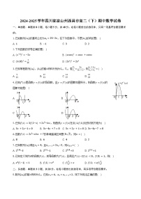 2024-2025学年四川省凉山州西昌市高二（下）期中数学试卷（含答案）