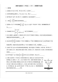2025届上海市松江二中高三下学期三模数学试卷（高考模拟）