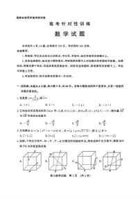 山东省济南市2025届高三下学期5月高考针对性训练（三模）数学试卷（PDF版附答案）