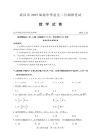 2025武汉市高中毕业生二月调研考试数学试卷及参考答案