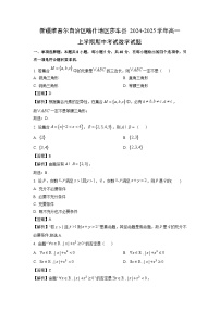 新疆维吾尔自治区喀什地区莎车县2024-2025学年高一上学期期中考试数学数学试卷（解析版）