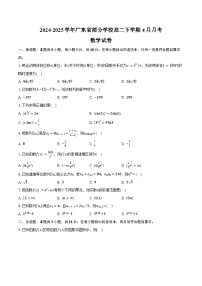 2024-2025学年广东省部分学校高二下学期4月月考数学试卷（含答案）