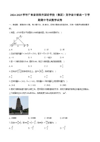 2024-2025学年广东省深圳外国语学校（集团）龙华高中部高一下学期期中考试数学试卷（含答案）