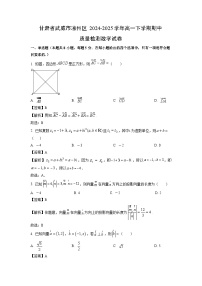 甘肃省武威市凉州区2024-2025学年高一下学期期中质量检测数学试卷（解析版）