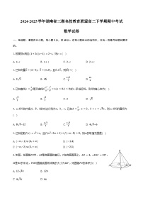 湖南省三湘名校教育联盟2024-2025学年高二下学期期中考试数学试卷（含答案）含答案解析