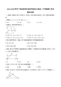2024-2025学年广东省深圳外国语学校高中园高一下学期期中考试数学试卷（含答案）
