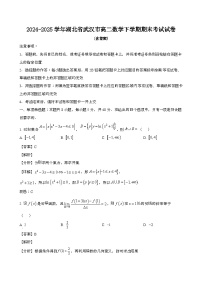 2024—2025学年湖北武汉高二数学下册期末考试试卷【含答案】