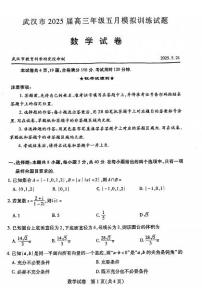武汉市2025届高三年级五月模拟训练试题数学试卷（附参考答案）
