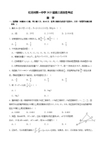 云南省红河哈尼族彝族自治州第一中学2025届高三下学期适应性考试数学试题