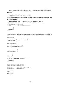 2024~2025学年上海宝山区高二下册3月月考数学检测试卷【有答案】
