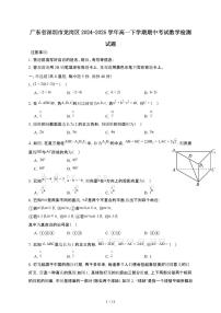 广东深圳龙岗区2024~2025学年高一下册期中考试数学试卷【有答案】