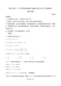 重庆市第十一中学教育集团2024-2025学年高三第九次质量检测数学试题（Word版附解析）
