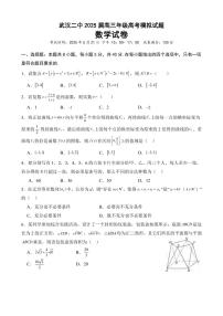数学丨湖北省武汉二中2025届高三下学期5月模拟考试试卷及答案