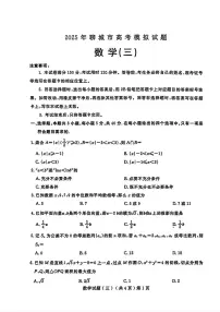 山东省聊城市2025年高三三模 数学试题【含答案】