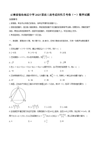 云南省临沧地区中学2025届高三高考适应性月考卷（一） 数学试题（含解析）