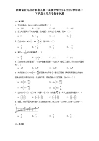 河南省驻马店市新蔡县第一高级中学2024−2025学年高一下学期5月月考 数学试题（含解析）