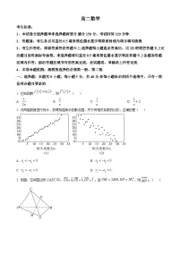 湖南省九师联盟22024-2025学年高二下学期5月联考数学试题