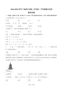广西南宁市第二中学2024-2025学年高一（下）期中数学试卷（含答案）