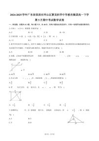 广东省深圳市坪山区聚龙科学中学教育集团2024-2025学年高一（下）期中考试数学试卷（含答案）