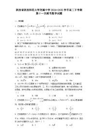 陕西省陕西师范大学附属中学2024−2025学年高三下学期第十一次模考 数学试题（含解析）