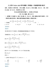 北京市中国人民大学附属中学2024~2025学年高一下册期中练习数学试卷【附解析】
