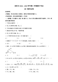 河南省洛阳市2024~2025学年高一下册期中考试数学试卷【附解析】