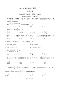 四川省绵阳中学2025届高三下学期高考适应性考试（一）数学试题（Word版附解析）