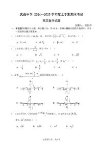 河北省衡水市武强中学2024-2025学年高三上学期期末考试数学试题