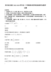 贵州安顺2023~2024学年高一下册期末教学质量监测考试数学试卷[附解析]