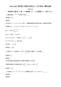 上海宝山上海师范大学附属中学宝山分校2024~2025学年高一下册五月月考数学试卷[附解析]
