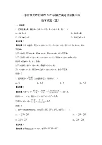 山东省泰安市肥城市2025届高三高考适应性训练（三）数学试卷（解析版）