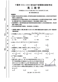 湖北省十堰市2024-2025学年高二下学期期末考试数学试卷