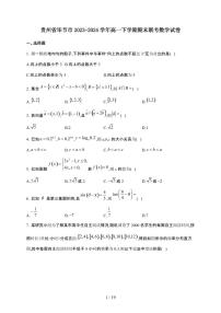 贵州省毕节市2023-2024学年高一下学期期末联考 数学试卷（含解析）