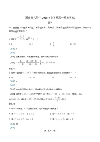 湖南师范大学附属中学2024-2025学年高一下学期期末考试数学卷试题（Word版附解析）