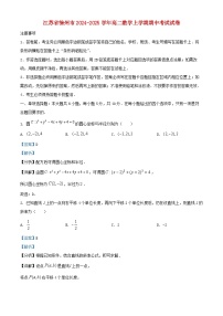 江苏省徐州市2024_2025学年高二数学上学期期中试卷含解析